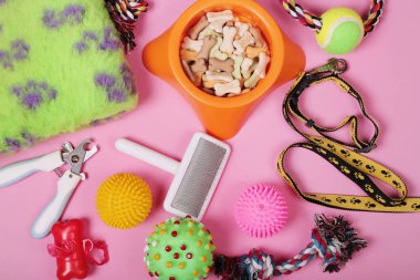 Köpek ve kedi, oyuncaklar, kuru gıda, bisküvi, kurabiye, fırçalar, saç fırçaları, topları, pembe arka plan üzerinde yaka için aksesuarlar ile Düz yatıyordu kompozisyon. Evcil hayvan bakımı