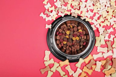 Köpek ve kedi, evcil hayvan maması için aksesuarlar ile Düz yatıyordu kompozisyon.