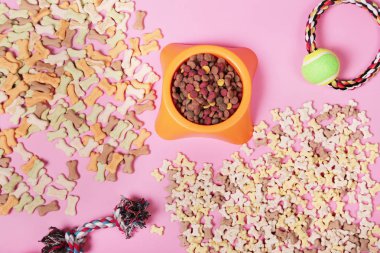 Köpek ve kedi, oyuncaklar, kuru gıda, bisküvi, kurabiye, evcil hayvan gıda aksesuarları ile Düz yatıyordu kompozisyon.