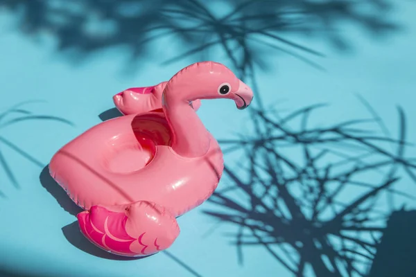 Pink flamingo swim ring drink holder on turquoise background with shadows of exotic plants. — Stock Photo, Image