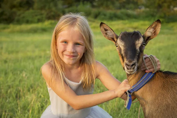 Petite fille blonde en plein air dans la nature étreint chèvre brune. Lumière du coucher du soleil. Bonne enfance . — Photo