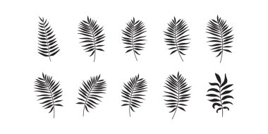 Tropik palmiye yaprakları beyaz arka planda izole edilmiş kusursuz vektör deseni, yaz duvar kağıdı, tekstil, kumaş, posterler ve egzotik dekorasyon için botanik yaprak çizimi