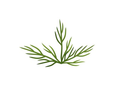 Palmiye ağacı illüstrasyon vektörü tropikal yapraklar egzotik izole beyaz arkaplan yaz bitkisel tasarımı