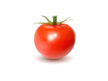 Olgun kırmızı domates fotoğrafı gerçekçi vektör çizimi taze organik sebze yemeği doğal tasarım şeffaf arkaplan ayrıntıları