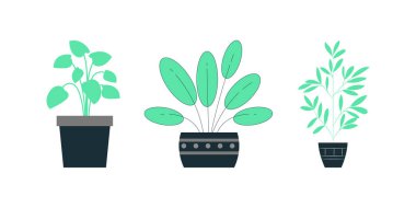 Dekoratif ev bitkileri saksılarda, saksılarda, vazolarda ve sepetlerde, ev dekorasyonu için doğal yeşillikler izole edilmiş vektörler.