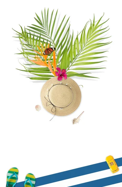 Koncept Letní Slamák Motýl Strelície Palmové Listy Shell Bílém Pozadí — Stock fotografie