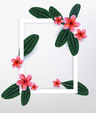 Pembe Plumaria çiçek ile kopya alanı, yaz. İyi Bayramlar. Davetiye, düğün kartı. Vektör çizim