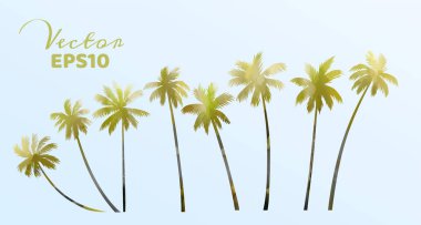 Suluboya palmiye ağaçları kümesi. Hindistan cevizi bitki izole. Vektör çizim.