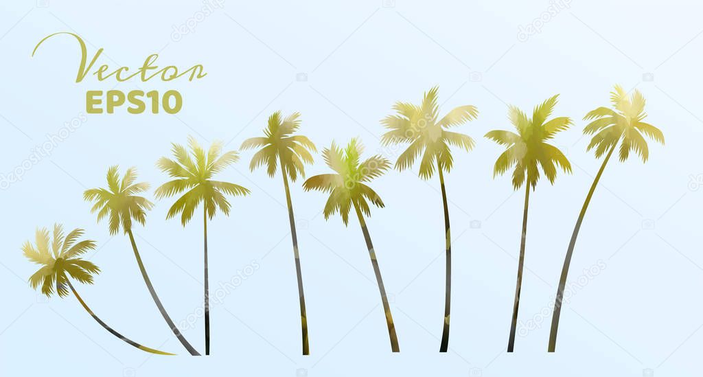 Set of watercolor palm trees . Coconut plant isolated. Vector illustration.
