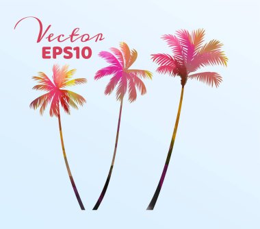 Suluboya palmiye ağaçları nın seti. Hindistan cevizi bitkisi izole edilmiş. Vektör il