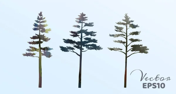 Conjunto de pinheiros aquarela. Ilustração vetorial — Vetor de Stock