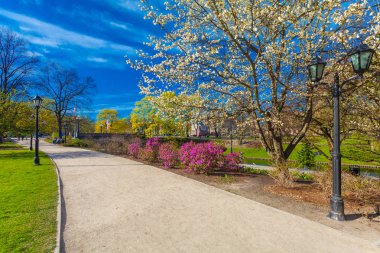 Boş yol çiçeği ağaçlar ve çalılar ve fenerler Riga şehir merkezi bulunan Park Bastion Hill ile görüntüleyin. Letonya.