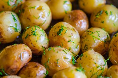 Fırında patates - ceket patates - bütün derileri ayçiçek yağı ve dereotu kahverengi oluncaya kadar. Yakın çekim.