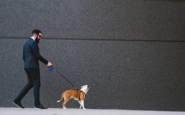 Businessman Walking Dog Street Best Friends Walking Handsome Businessman Hipster — Stock Photo, Image