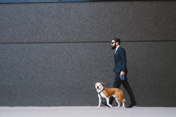 Businessman walking dog at street. Best friends walking. Handsome businessman hipster walking dog.