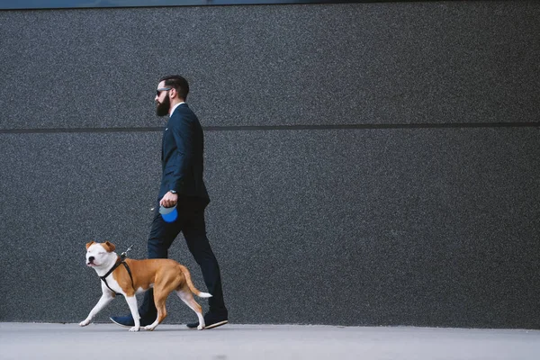 Περιπατητής Σκύλος Επιχειρηματίας Στο Δρόμο Καλύτεροι Φίλοι Πόδια Περιπατητής Σκύλος — Φωτογραφία Αρχείου