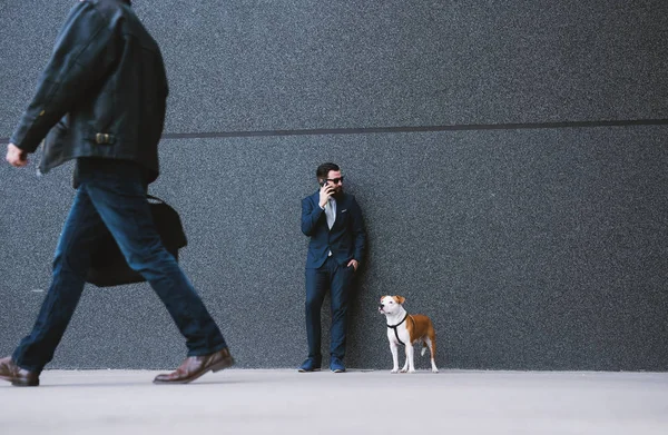 Biznesmen Chodzenia Psa Ulicy Najlepsi Przyjaciele Spaceru Przystojny Biznesmen Hipster — Zdjęcie stockowe