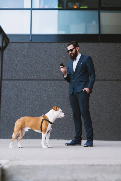 Affärsman Gångavstånd Hund Gatan Bästa Vänner Promenader Stilig Affärsman Hipster — Stockfoto