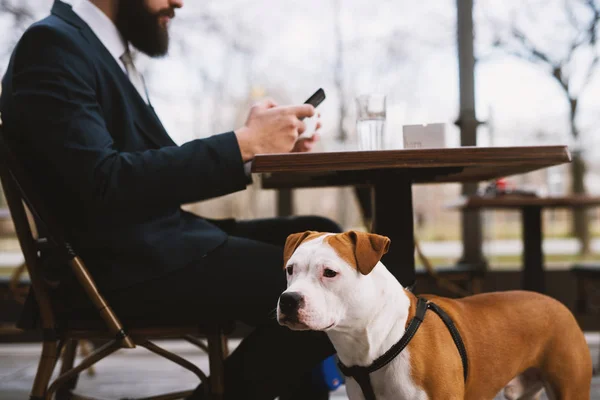 商人在咖啡馆里和狗在一起 咖啡馆里最好的朋友 — 图库照片