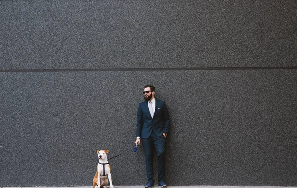 Businessman walking dog at street. Best friends walking. Handsome businessman hipster walking dog.