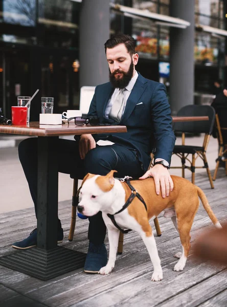 Businessman at coffee shop with dog. Best friends at cafe.