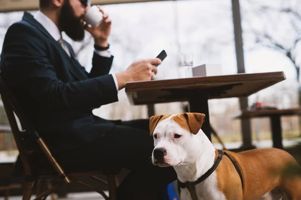 商人在咖啡馆里和狗在一起 咖啡馆里最好的朋友 — 图库照片