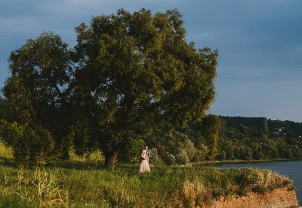 Joven Pareja Elegante Día Boda Posando Naturaleza Novio Abrazando Hermosa — Foto de Stock