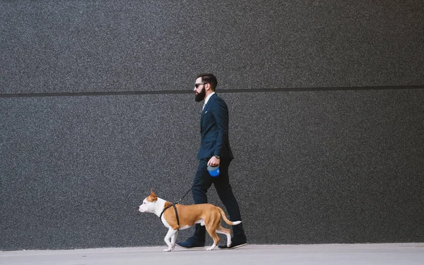 Περιπατητής Σκύλος Επιχειρηματίας Στο Δρόμο Καλύτεροι Φίλοι Πόδια Περιπατητής Σκύλος — Φωτογραφία Αρχείου