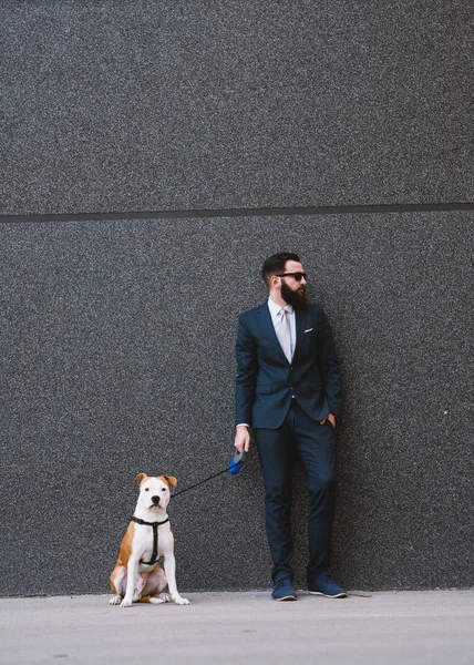 Şadamı Street Yürüyüş Köpek Yürüyüş Arkadaşlarım Yakışıklı Işadamı Hipster Yürüyen — Stok fotoğraf