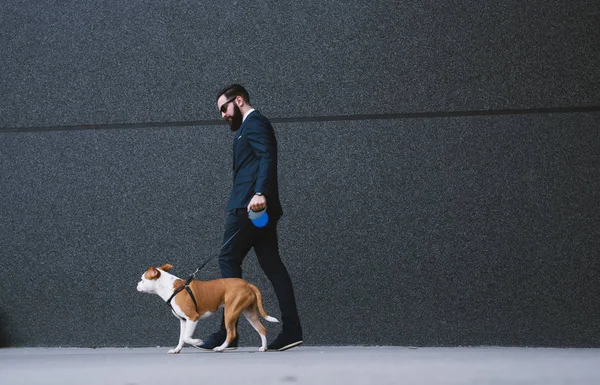 Hombre Negocios Paseando Perro Calle Mejores Amigos Caminando Guapo Hombre —  Fotos de Stock