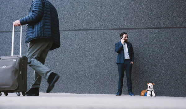 商人在街上遛狗 最好的朋友走 英俊的商人时髦的遛狗 — 图库照片