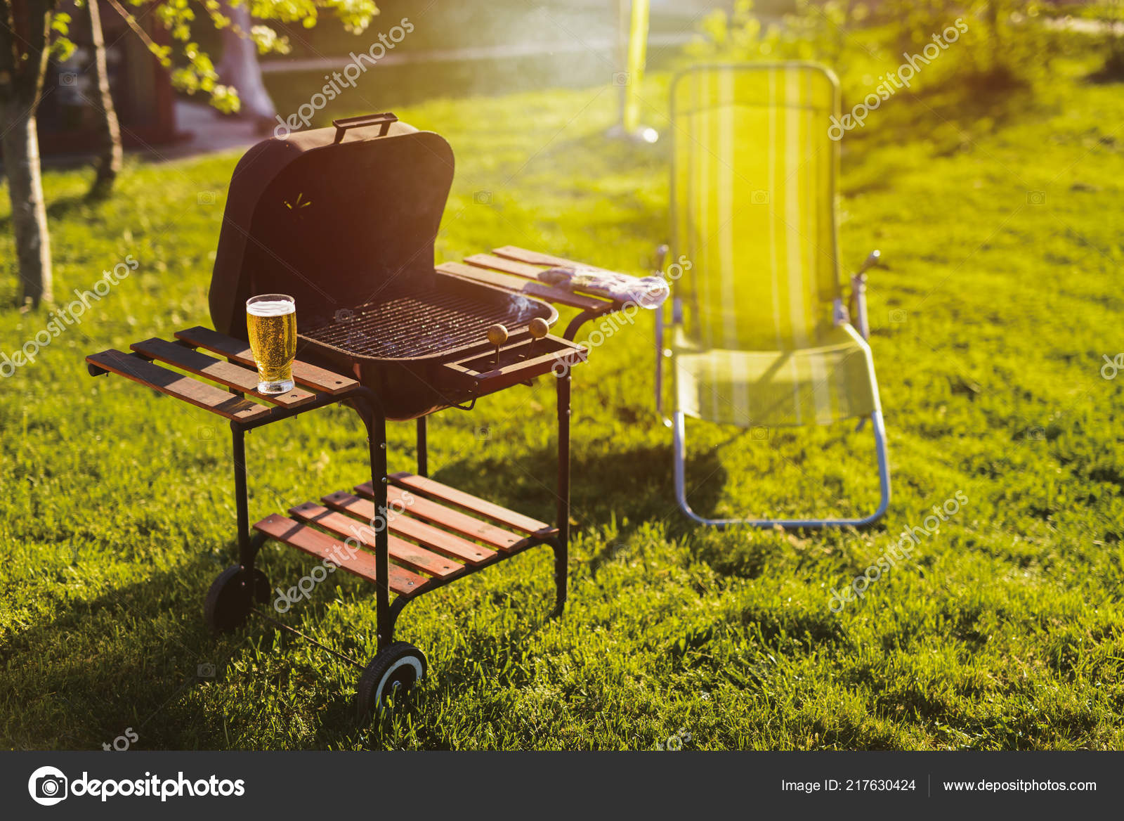 Grill Glass Full Bear Everything Ready Beautiful Picnic Sunny Day