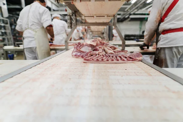Работники Встречах Обрабатывают Мясо Организации Упаковки Отгрузки Грузов Мясокомбинате — стоковое фото
