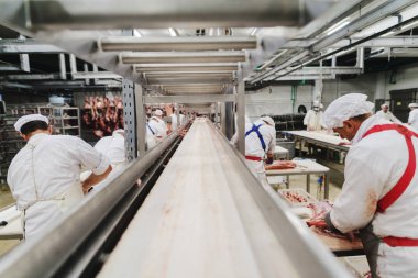 Workers at meet industry handle meat organizing packing shipping loading at meat factory. clipart