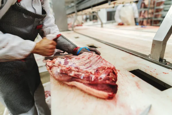 Lavoratori Dell Industria Incontrano Maneggiare Carne Organizzando Carico Spedizione Imballaggio — Foto Stock