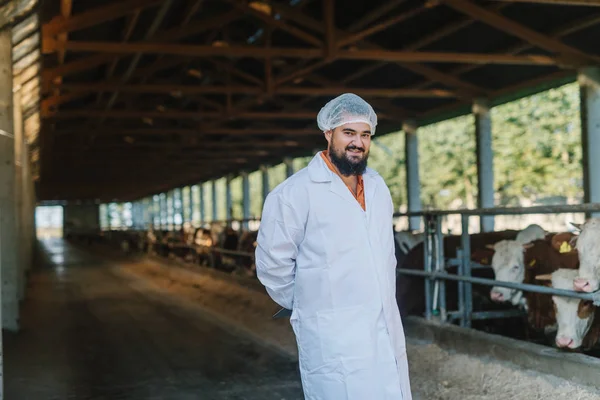 Veterinário Que Verifica Vacas Exploração Vacas — Fotografia de Stock