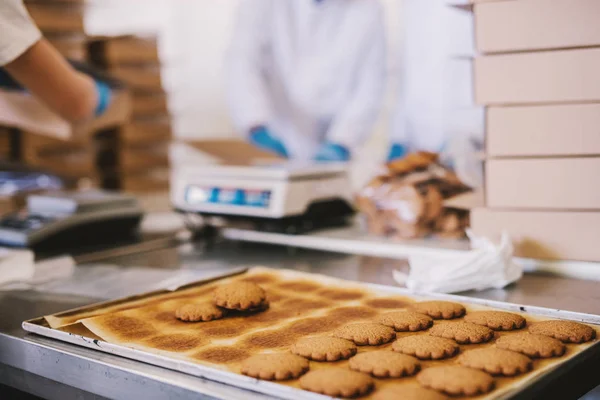 Close Van Lade Vol Verse Gebakken Koekjes Voedsel Fabriek Wazig — Stockfoto