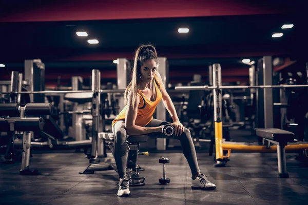 Young Woman Lifting Dumbbell Sitting Bench While Looking Camera — Stock Photo, Image