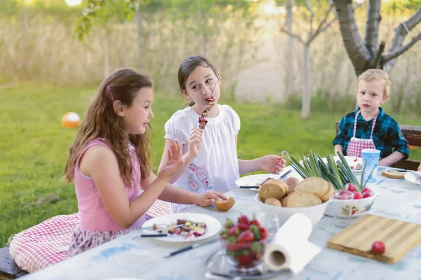 Little Adorable Kids Eating Picnic — Stok fotoğraf