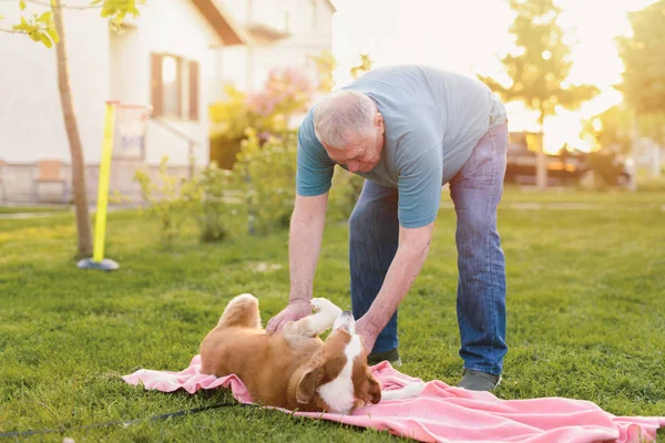 Picture of older man petting his cute dog in nature. Dog is mans best friend.