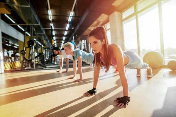 Tree Strong People Working Out Gym Doing Push Ups Line — Stock Photo, Image