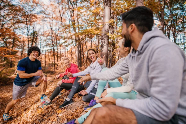 Group of runners sitting and chatting after running. Forest in autumn exterior. Teamwork and healthy lifestyle concept.