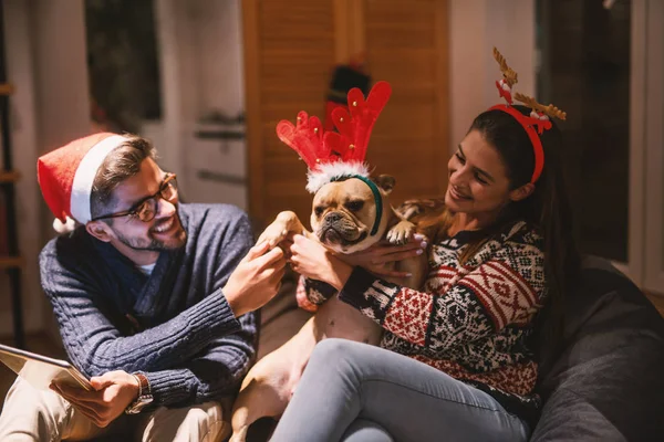 Pareja Sentada Sala Jugando Con Perro Concepto Vacaciones Navidad — Foto de Stock