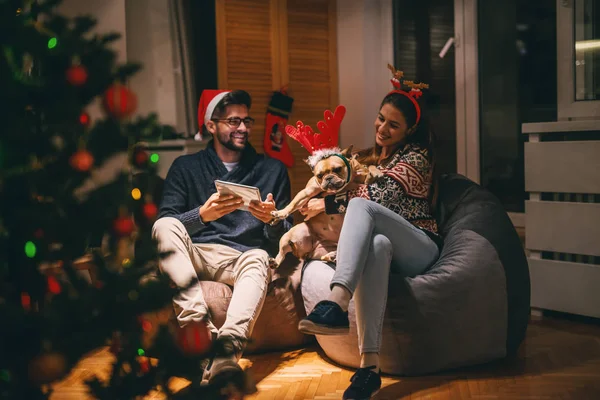 夫妇坐在豆袋上 享受圣诞前夜 抱狗的女人 男人用平板电脑 在前景圣诞树上 — 图库照片