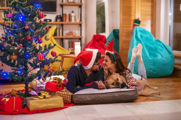 一对夫妇躺在地板上抚摸着他们的狗 在他们旁边的圣诞树 家居内饰 圣诞节假期概念 — 图库照片