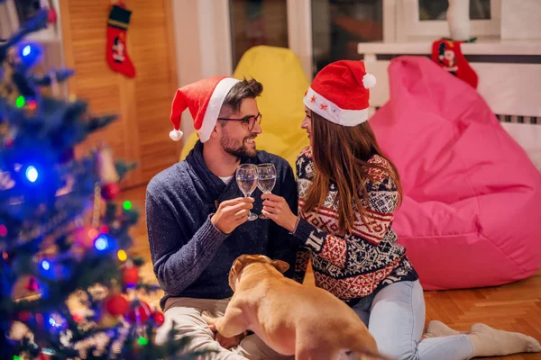 Pár Sedí Podlaze Který Pronesl Přípitek Šampaňským Pes Klína Vánoční — Stock fotografie