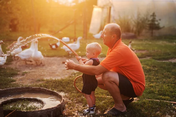 Avô Neto Brincando Com Mangueira Água Quintal Uma Fazenda Animais — Fotografia de Stock