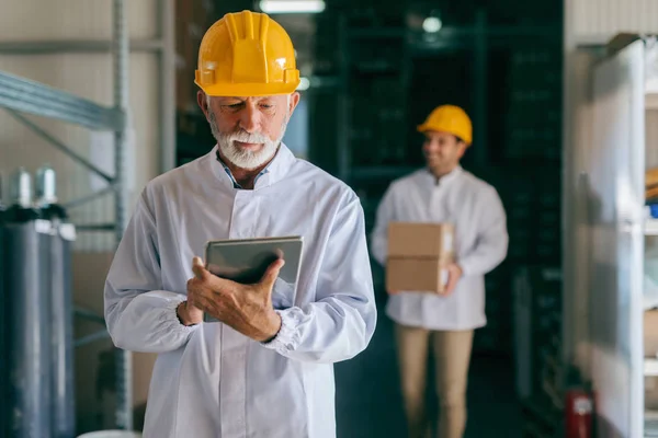 Καυκάσιος Ανώτερος Εργαζόμενος Χρησιμοποιώντας Tablet Ενώ Στέκεται Στο Χώρο Αποθήκευσης — Φωτογραφία Αρχείου