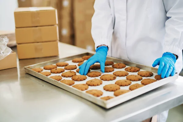 Trabalhador Feminino Segurando Biscoitos Recém Assados Folha Flandres Fábrica Produção — Fotografia de Stock