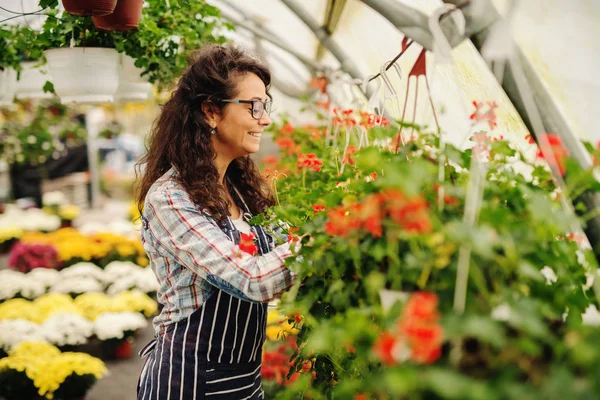 Mooie Jonge Vrouwelijke Professionele Tuinman Poseren Moderne Kas — Stockfoto